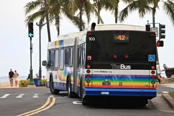 The Bus