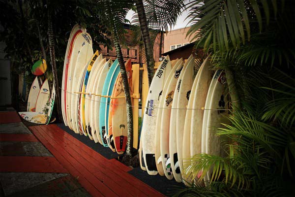Surf boards....ready for you to ride...