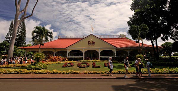 DOLE Plantation