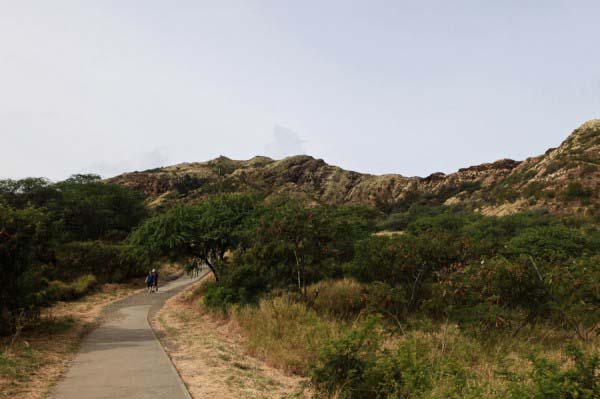 Diamond Head