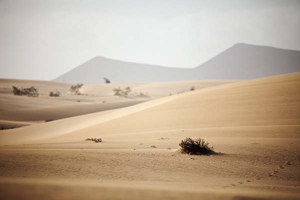Sand dunes