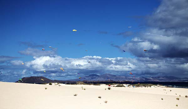 Kite festival