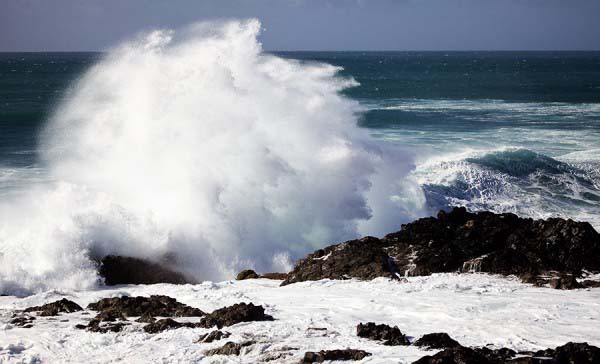 Ocean Rage