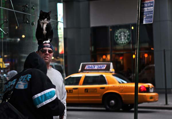 The man with the Cat