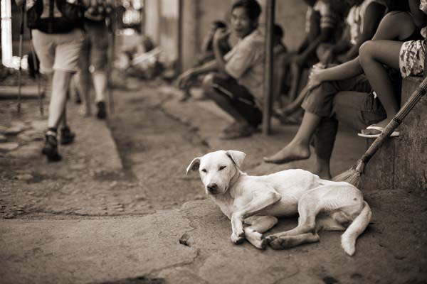Philippines 1041