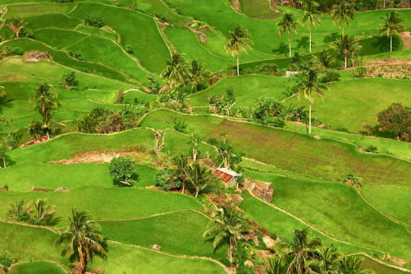 Rice Terraces Philippines 2 Rice Terraces Philippines 2