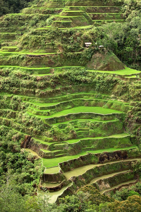 Rice Terraces Philippines 3 Rice Terraces Philippines 3