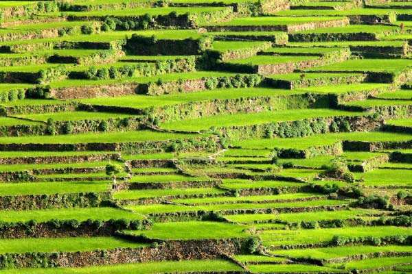 Rice Terraces Philippines 4 Rice Terraces Philippines 4