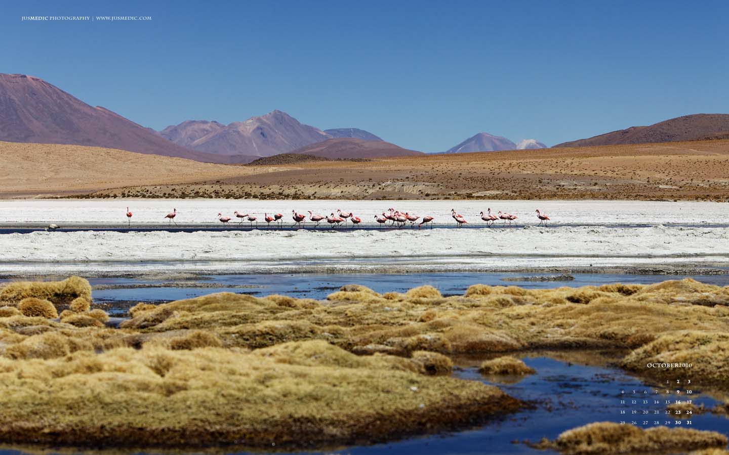 October-2010-Altiplano-14401.jpg