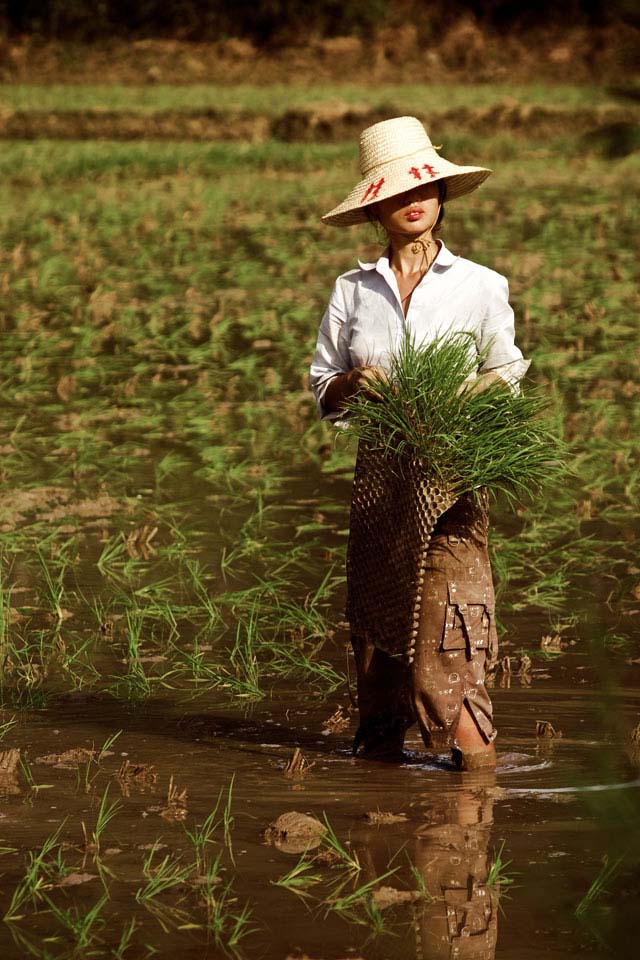 Rice Worker, Southern China - POTD on Photoburst by Jus Medic