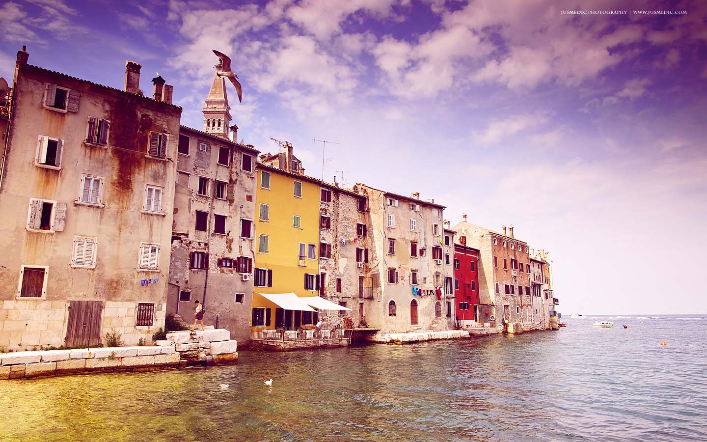 August-2011-Rovinj-1440-jusmedic.jpg