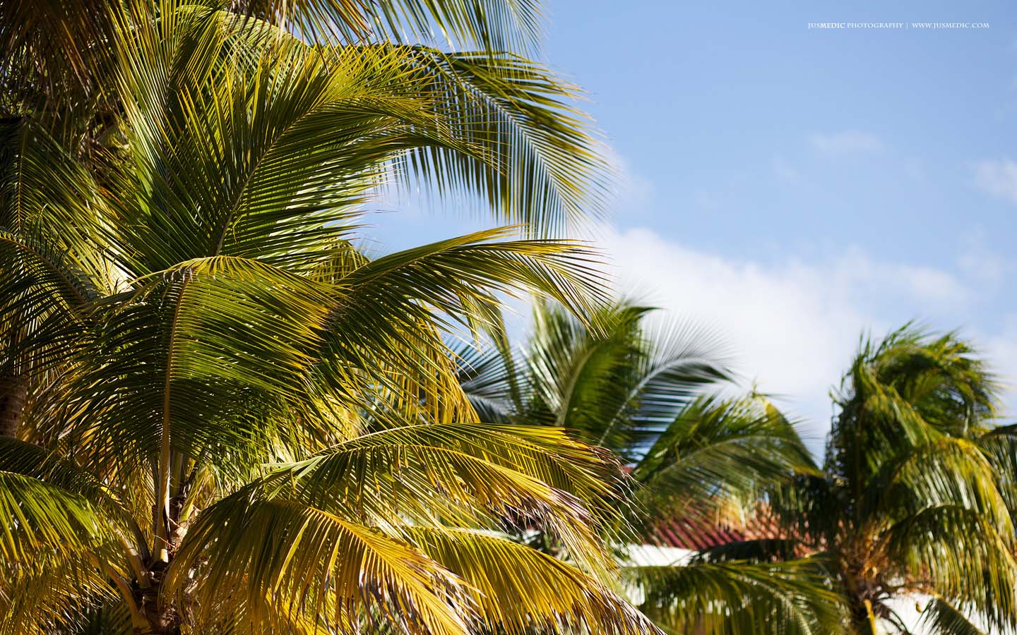 April-2012-Varadero-JusMedic-1440.jpg